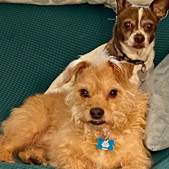 Hi!  I’m trying to glam up the Pacific Northwest. Not just flannel & boots baby! - Picture 14 of 14